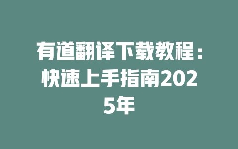 有道翻译下载教程:快速上手指南2025年 二