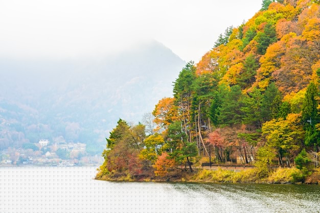 有道翻译下载功能详解，2025年最新教程 一