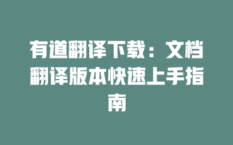 有道翻译下载：文档翻译版本快速上手指南 二