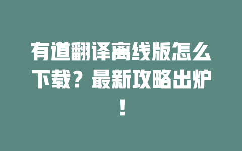 有道翻译离线版怎么下载?最新攻略出炉! 二