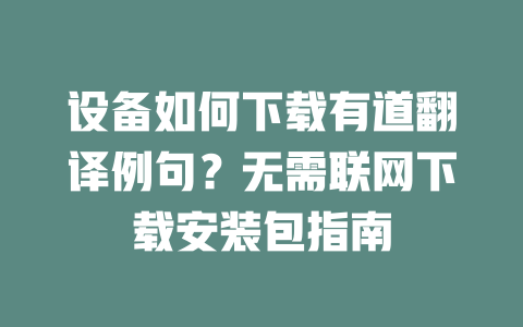 设备如何下载有道翻译例句？无需联网下载安装包指南 二