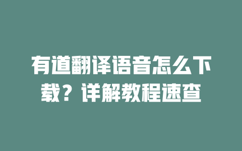 有道翻译语音怎么下载?详解教程速查 二