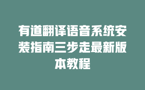 有道翻译语音系统安装指南三步走最新版本教程 二