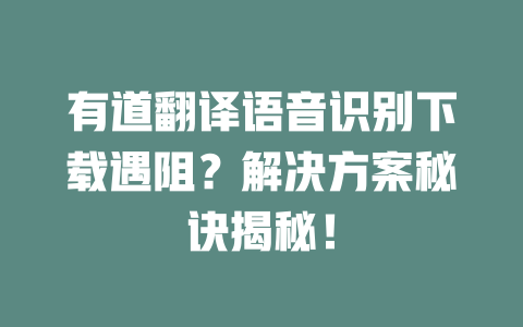 有道翻译语音识别下载遇阻?解决方案秘诀揭秘! 二