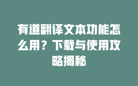 有道翻译文本功能怎么用?下载与使用攻略揭秘 二