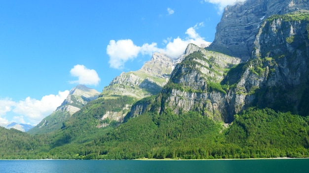 有道翻译下载指南+拍照识别苹果设备教程 一