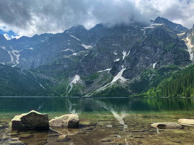 有道翻译下载:解答对话疑问攻略2023 一