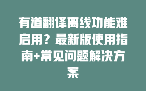 有道翻译离线功能难启用?最新版使用指南+常见问题解决方案 二