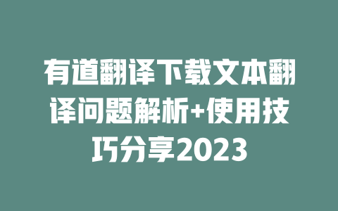 有道翻译下载文本翻译问题解析+使用技巧分享2023 二