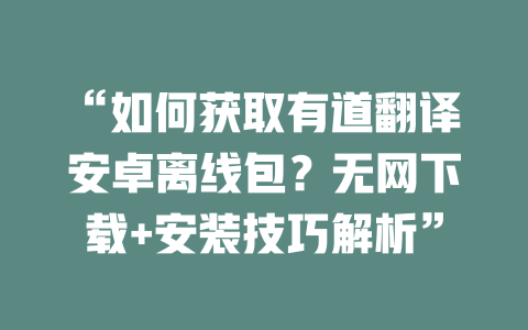 “如何获取有道翻译安卓离线包？无网下载+安装技巧解析” 二