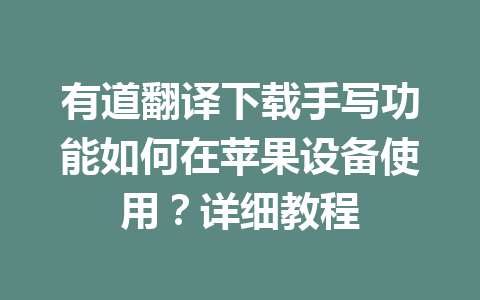 有道翻译下载手写功能如何在苹果设备使用?详细教程 二
